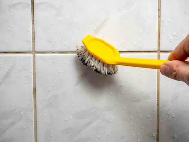 Best Professional Mold Removal  in Midvale, UT
