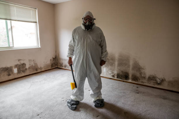 Best Mold Testing  in Midvale, UT